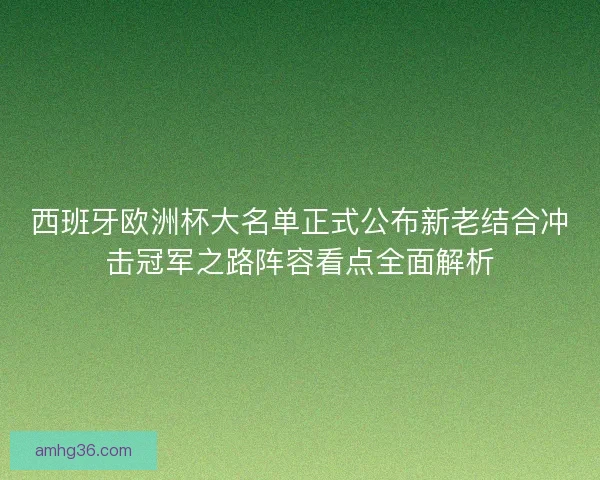 西班牙欧洲杯大名单正式公布新老结合冲击冠军之路阵容看点全面解析